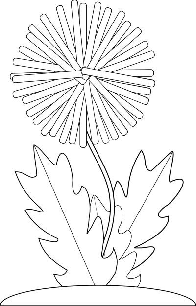 dandelion leaves 1