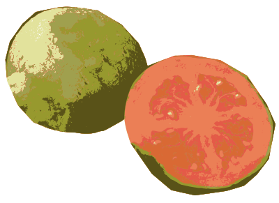 guava pink pdusgov