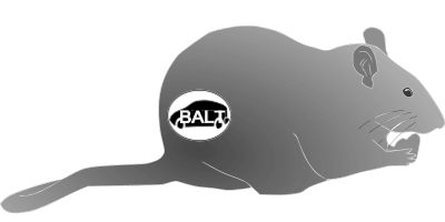 klara2