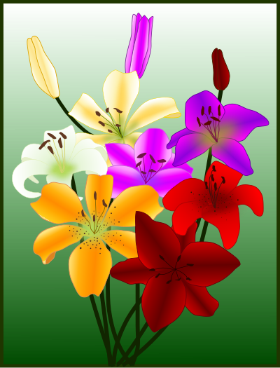 flowers gigli