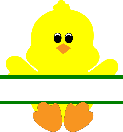 baby duck 1