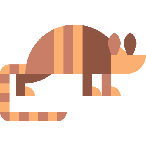 armadillo