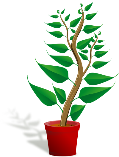 Plant 003 Tall