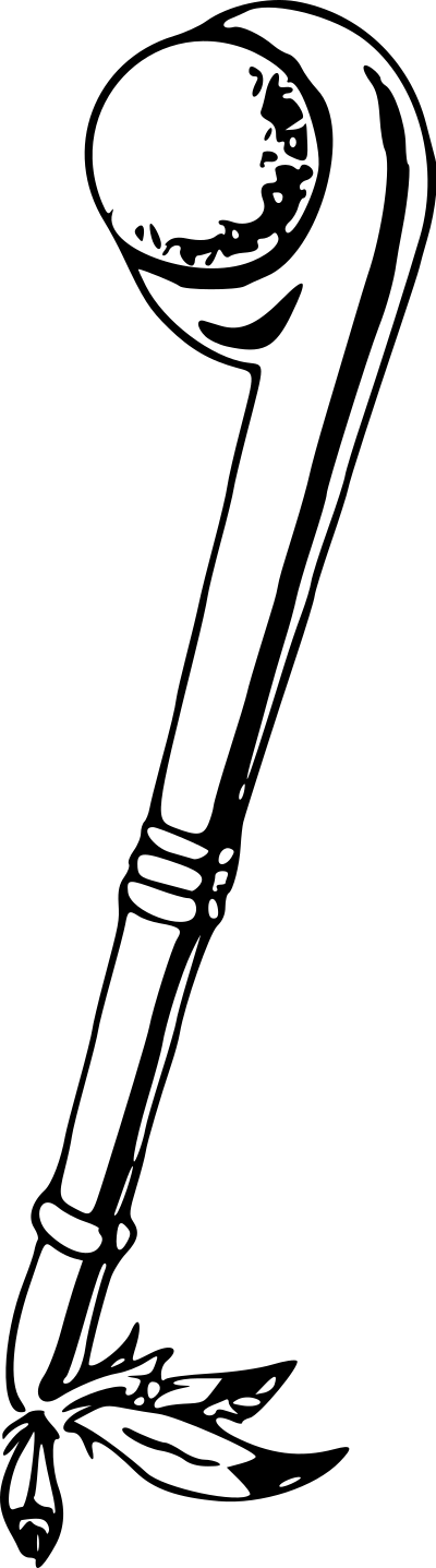 Tomahawk4
