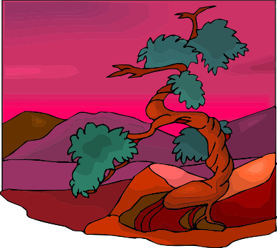 Tree5