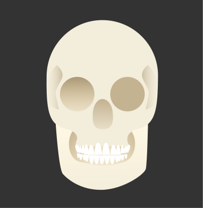 FX13 skull