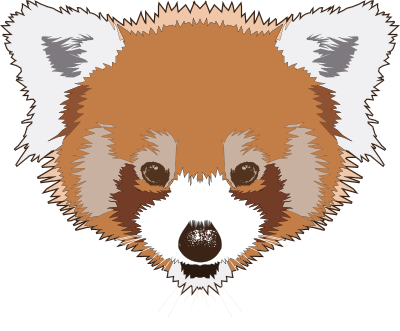 red panda 1