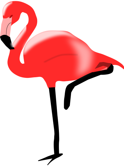 flamingo