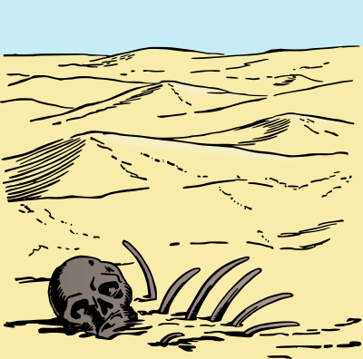 skeleton in the desert color