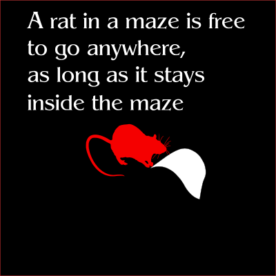 a rat in a maze is free to go anywhere as long as it stays inside the maze