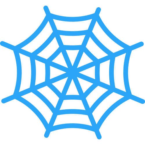 spider web trap