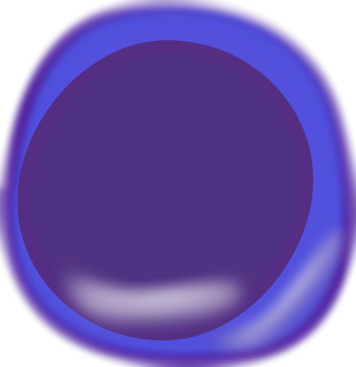 keikannui lymphocyte