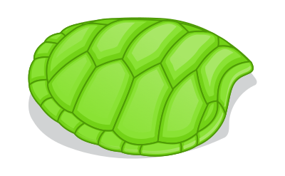 turtle shell color