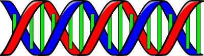 Double Helix DNA