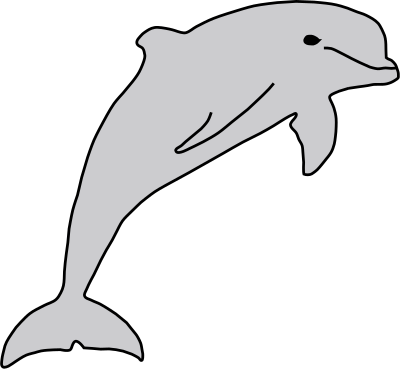 dolphin 14