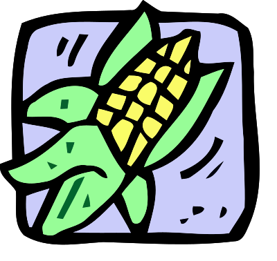 sweetcorn 1