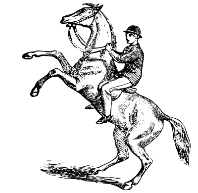 Man riding a rearing horse