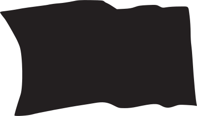 flag v