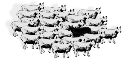 sheep simple