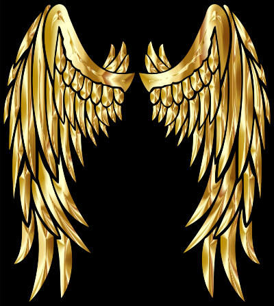 wings 8