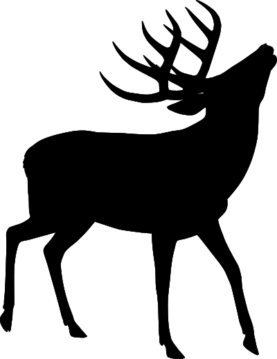 deer silhouette