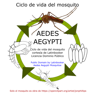 mosquito denguezika chikungunya by latinbooker