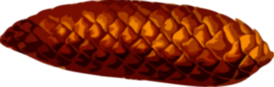 PineConeLores