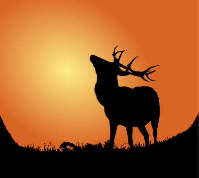 deer silhouette sunset