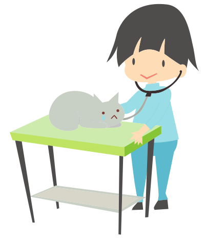 vet withcat pd