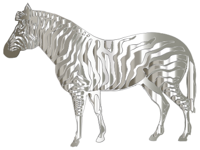 Mirrored Chrome Zebra