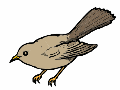 birdsparrow