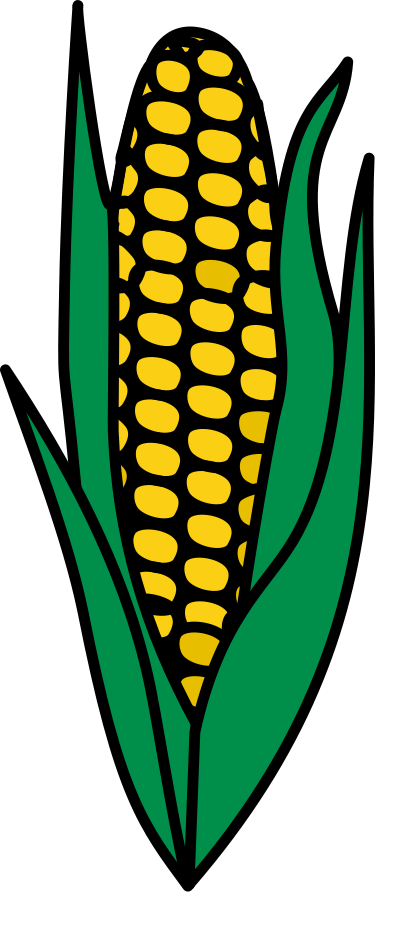 Corn 19