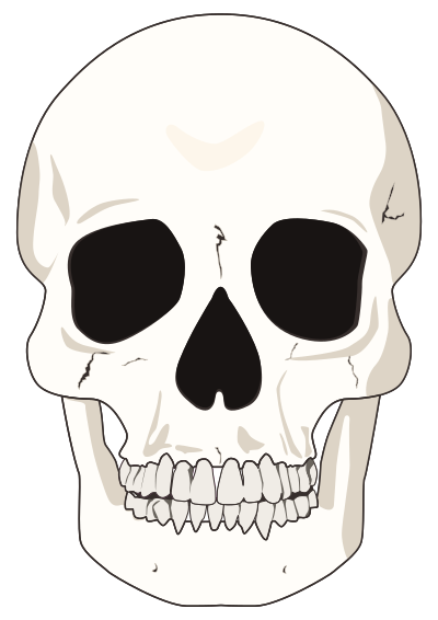 calaveraflatoca