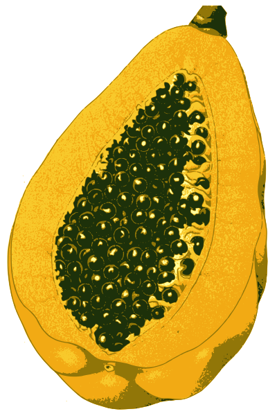 papaya 1