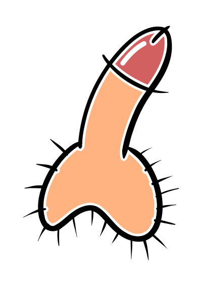 cock02