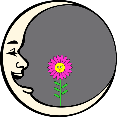 man in the moonwflower