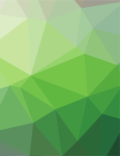 1597669946green low poly background