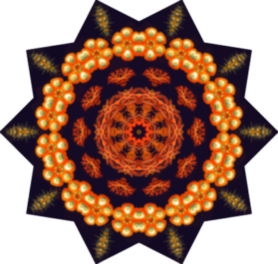 Ascidiae9