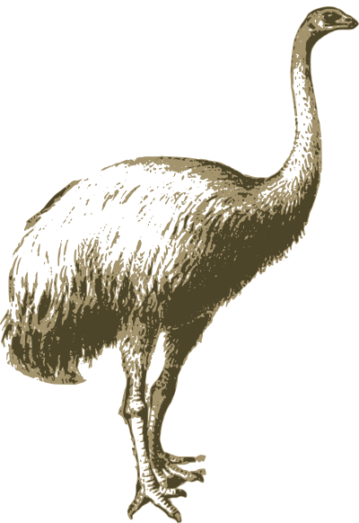 moa birdnz 1896