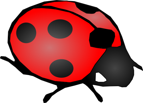 lady bug