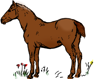 horse