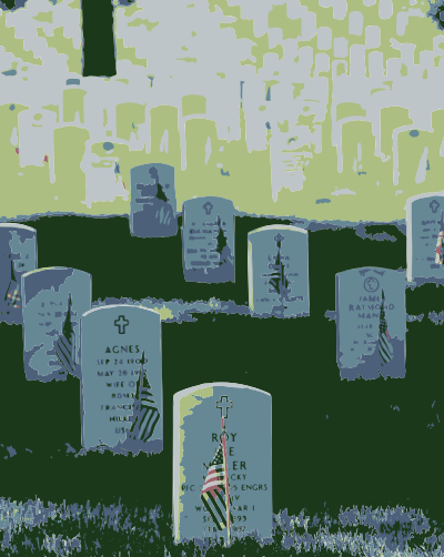 Graves at Arlington on Memorial Day Colorized