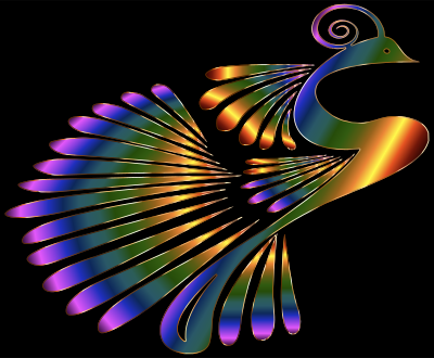 Colorful Stylized Peacock 5