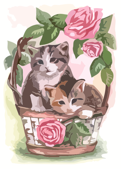 catsroses