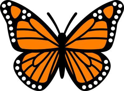 monarch butterfly isolated