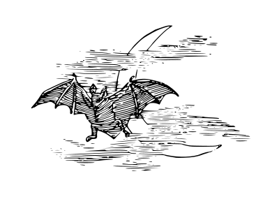 bat and crescent moon