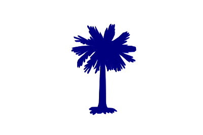 palmetto tree 2