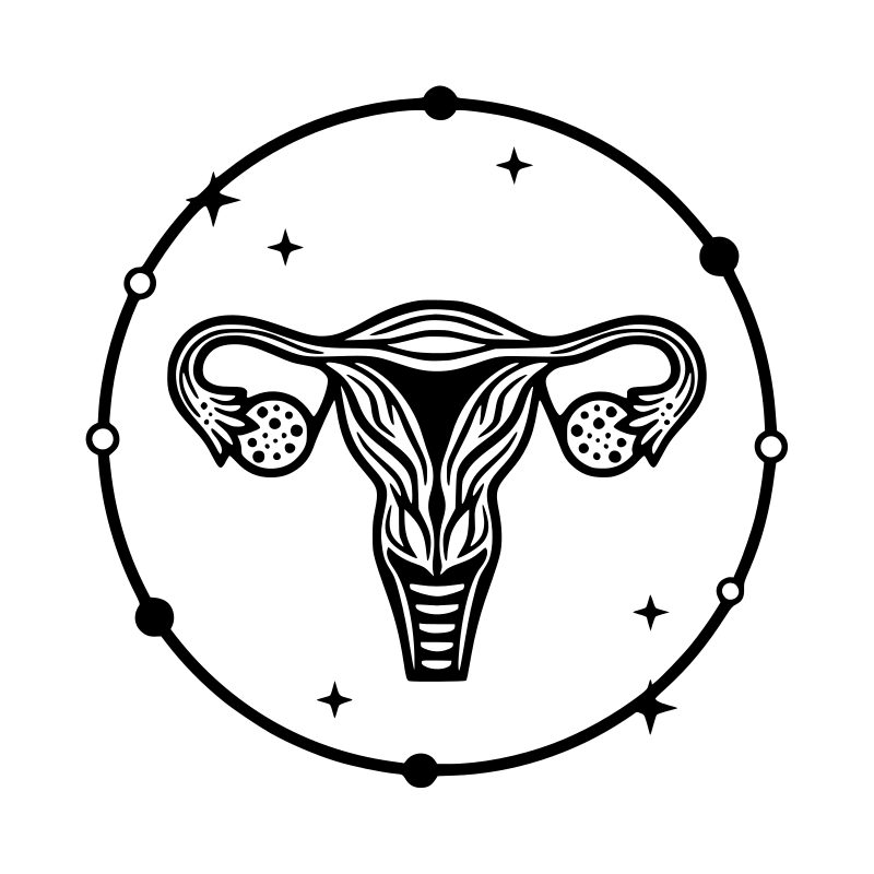 uterus 7