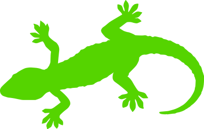green gecko