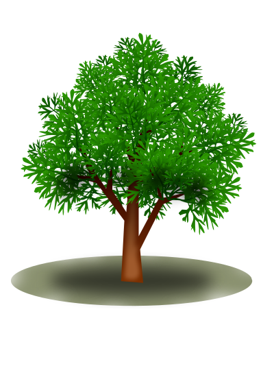 tree 21102016